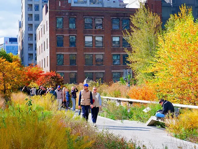 High Line Park in New York