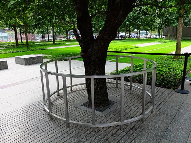 911 memorial i New York - survivor tree