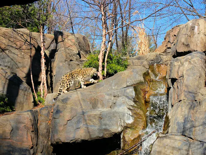 Central Park - Zoo