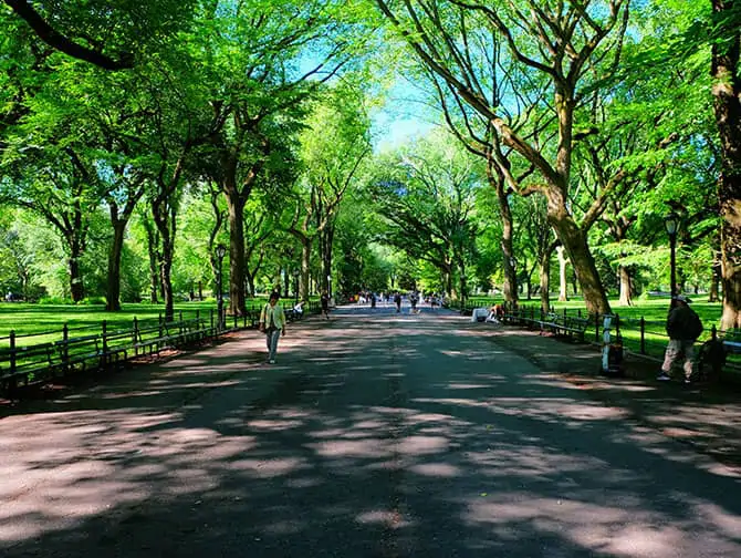 Labor Day i New York - Spasertur i Central Park