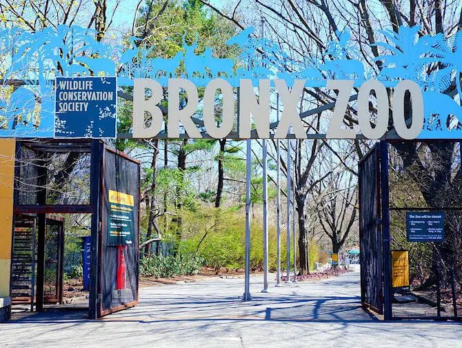 Bronx Zoo i New York