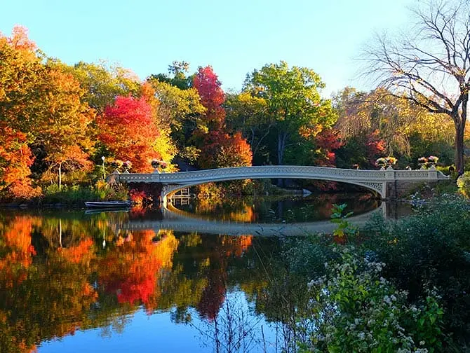 Guidet tur til steder for filminnspilling i Central Park