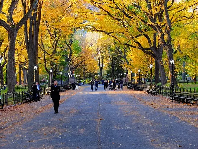 Guidet tur til steder for filminnspilling i Central Park - The Mall