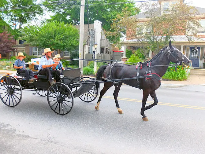 Dagstur fra New York til Philadelphia og Amish Country - Besøk amish-folket