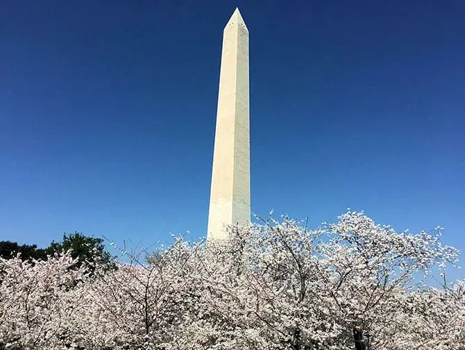 Washington DC dagstur monument