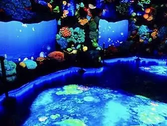 National Geographic Encounter Ocean Odyssey - Dyphavet
