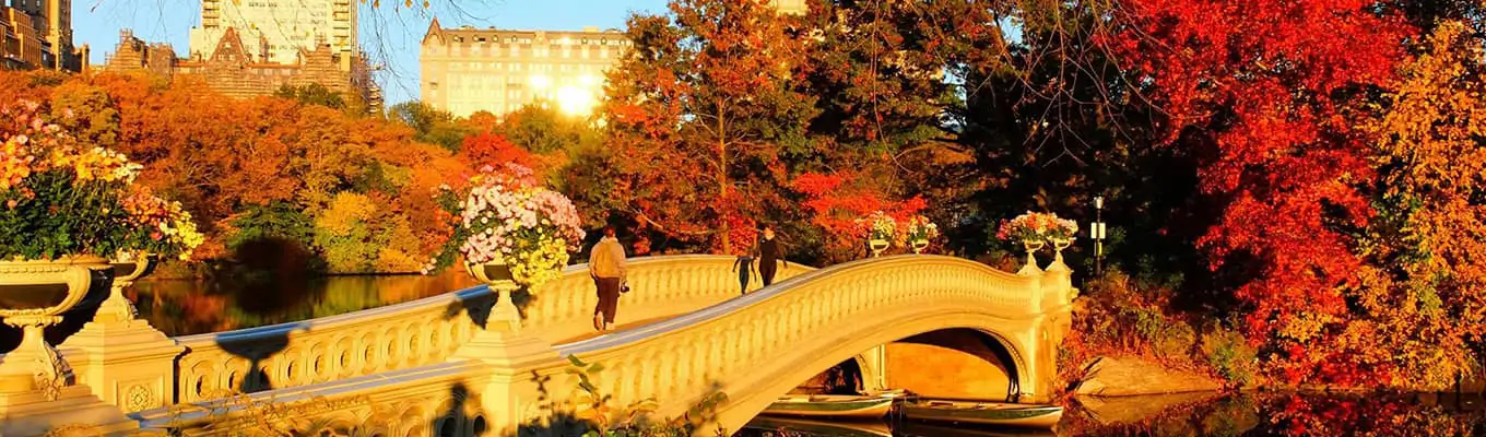 Høst i Central Park