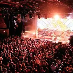 Konserter