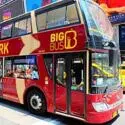 Hop-on-hop-off-buss