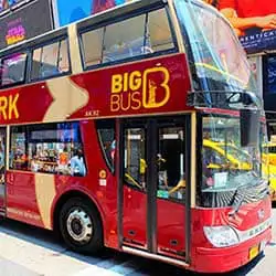 Hop-on-hop-off-buss