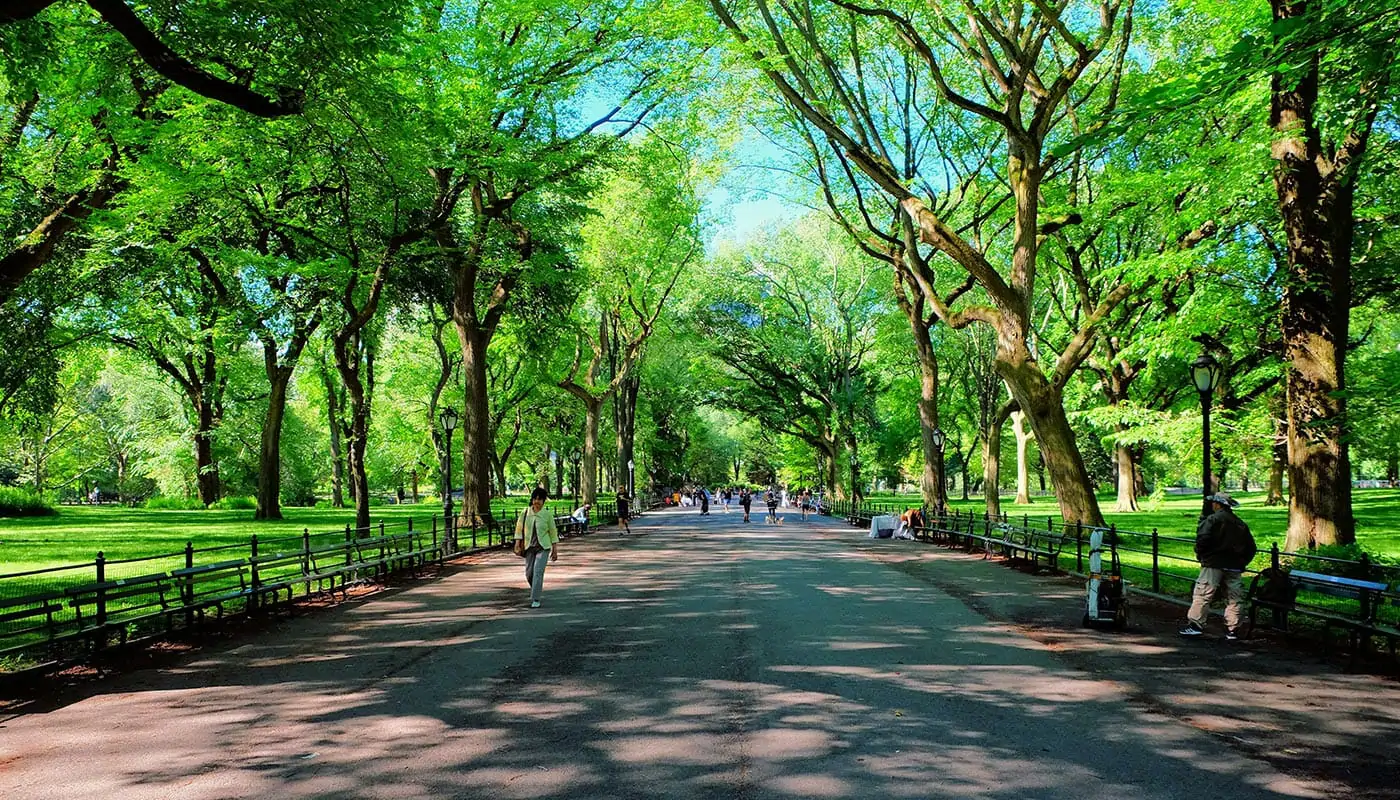 Morsdag i New York - Central Park