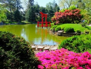 Botaniske hager i New York