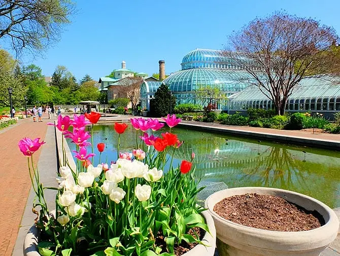Botaniske hager i New York New York - Brooklyn Botanic Garden