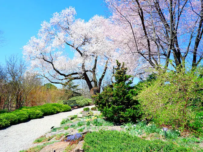 Botaniske hager i New York - New York Botanical Garden i The Bronx