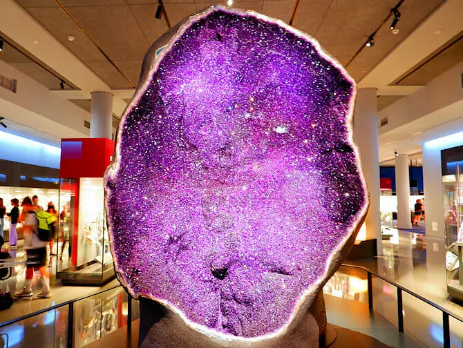 American Museum of Natural History in New York - utstilling