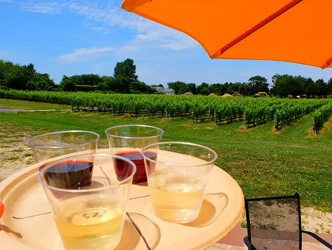 Dagstur til vingård fra New York - Vinsmaking