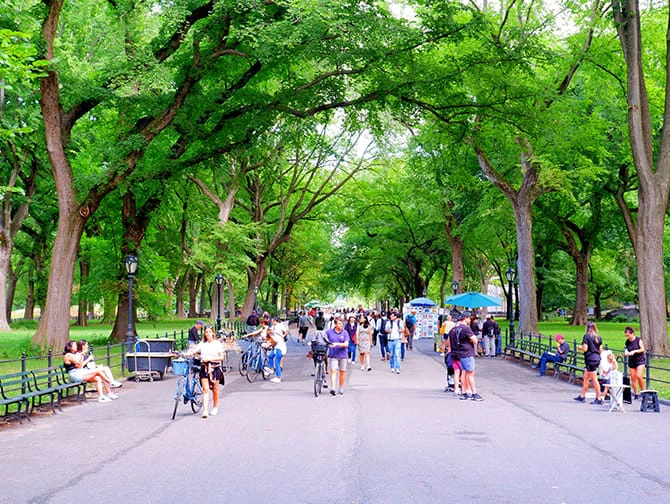 Vandreruter i New York - Central Park