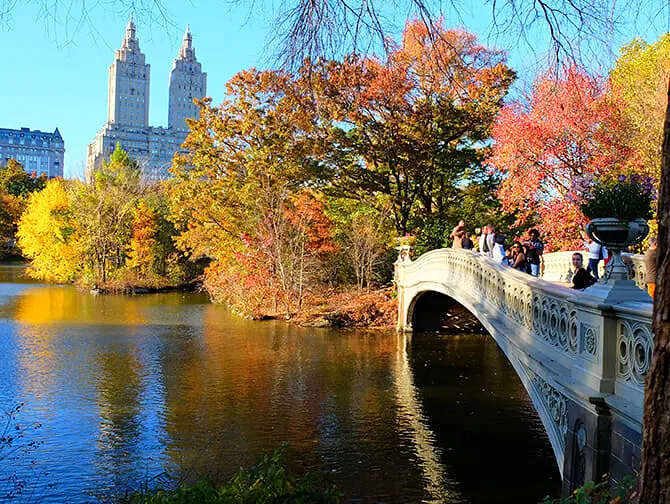 Bryllup i New York - Central Park