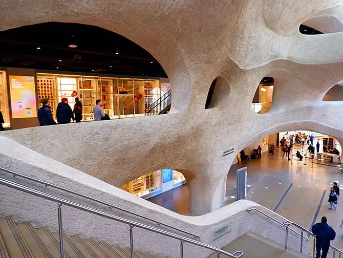 American Museum of Natural History i New York - Utvidelse