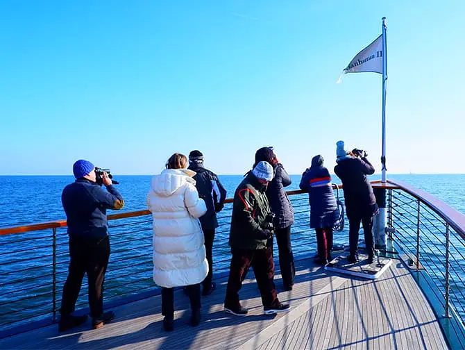 Båttur med selsafari og fuglekikking i New York