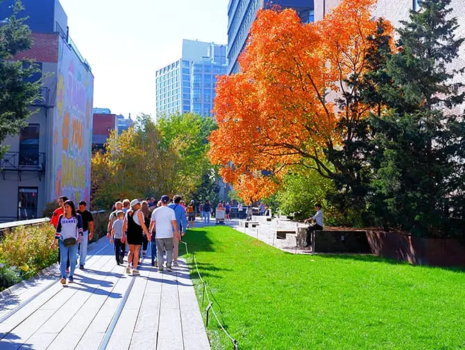 High Line Park i New York - Nature
