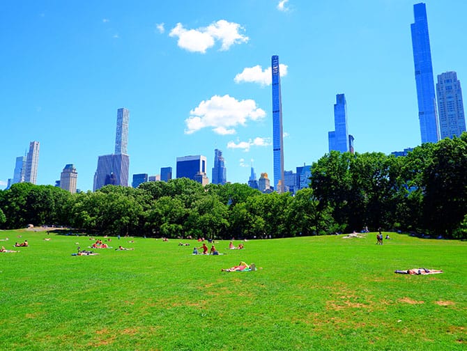 Sykkelutleie i New York med piknik
- Piknik
