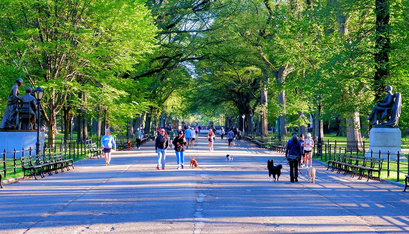 Newyorkere - Folk som bor i New York