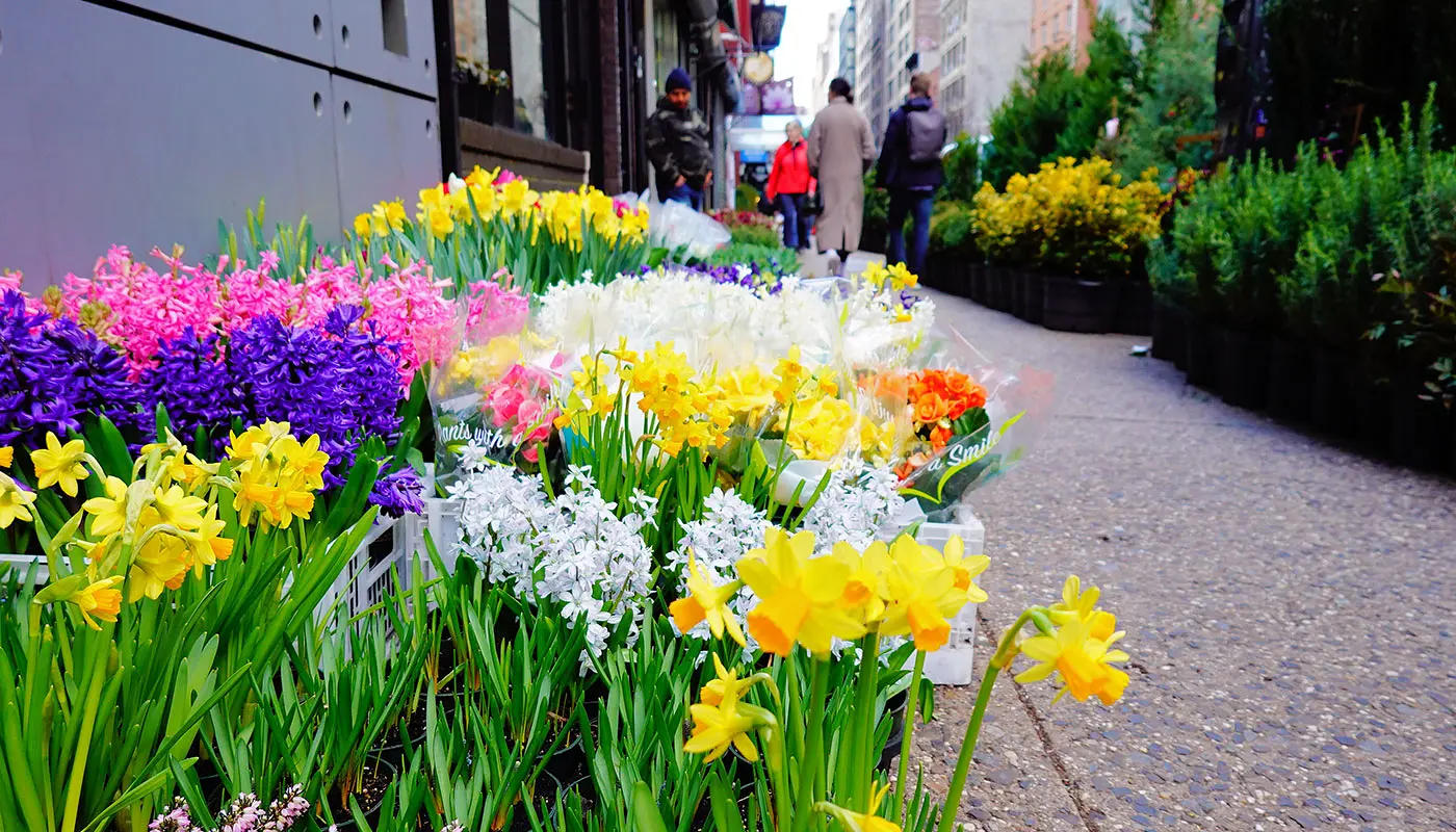 Hoteller i Midtown Manhattan - Cambria Hotel New York Chelsea
