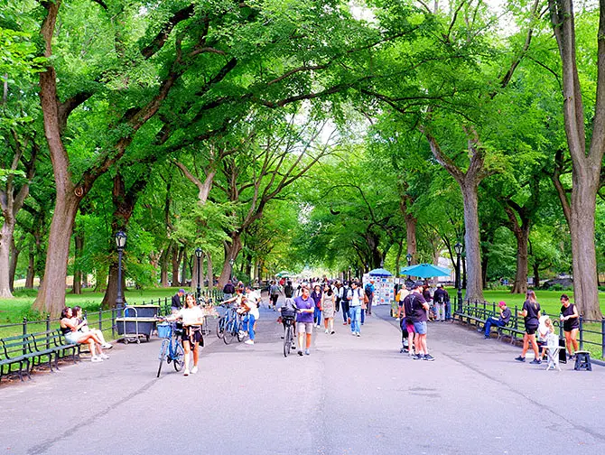 Vandrerute gjennom Central Park i New York